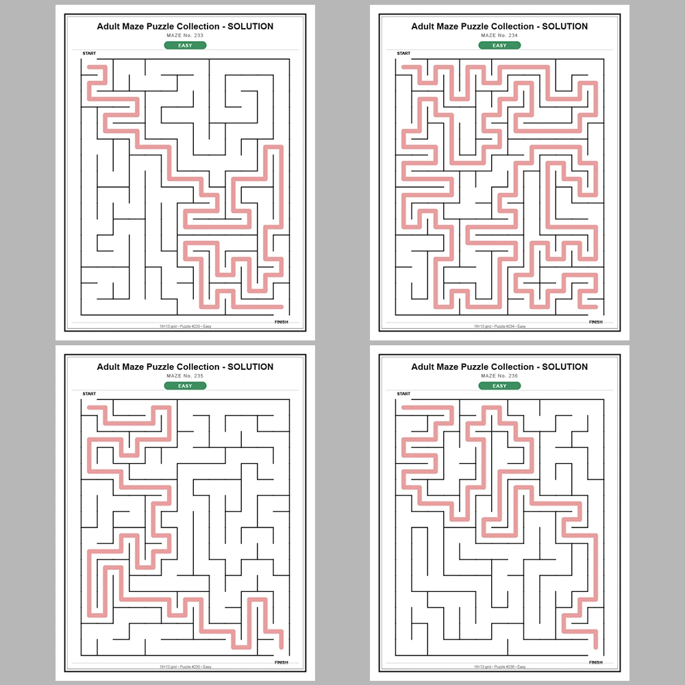 Maze Puzzle Easy 50 Pages of Puzzles – Vol. 5