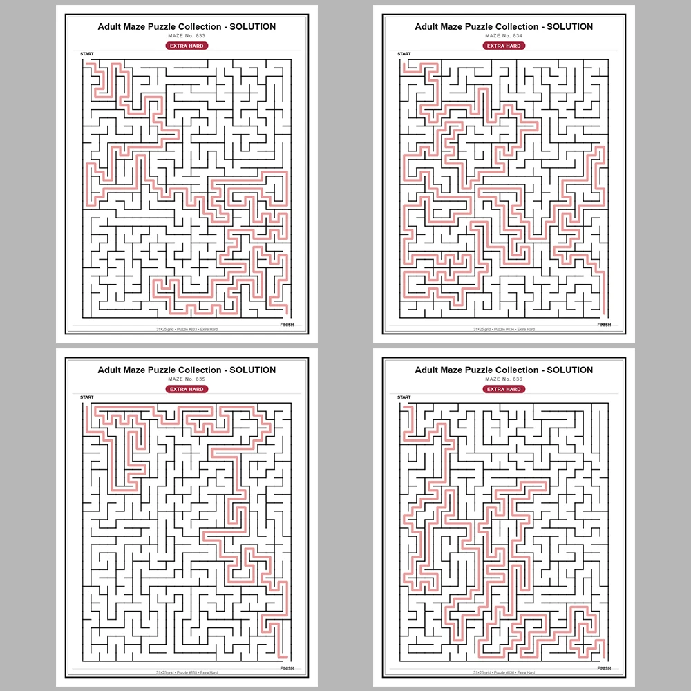 Maze Puzzle Extra Hard 50 Pages of Puzzles – Vol. 17