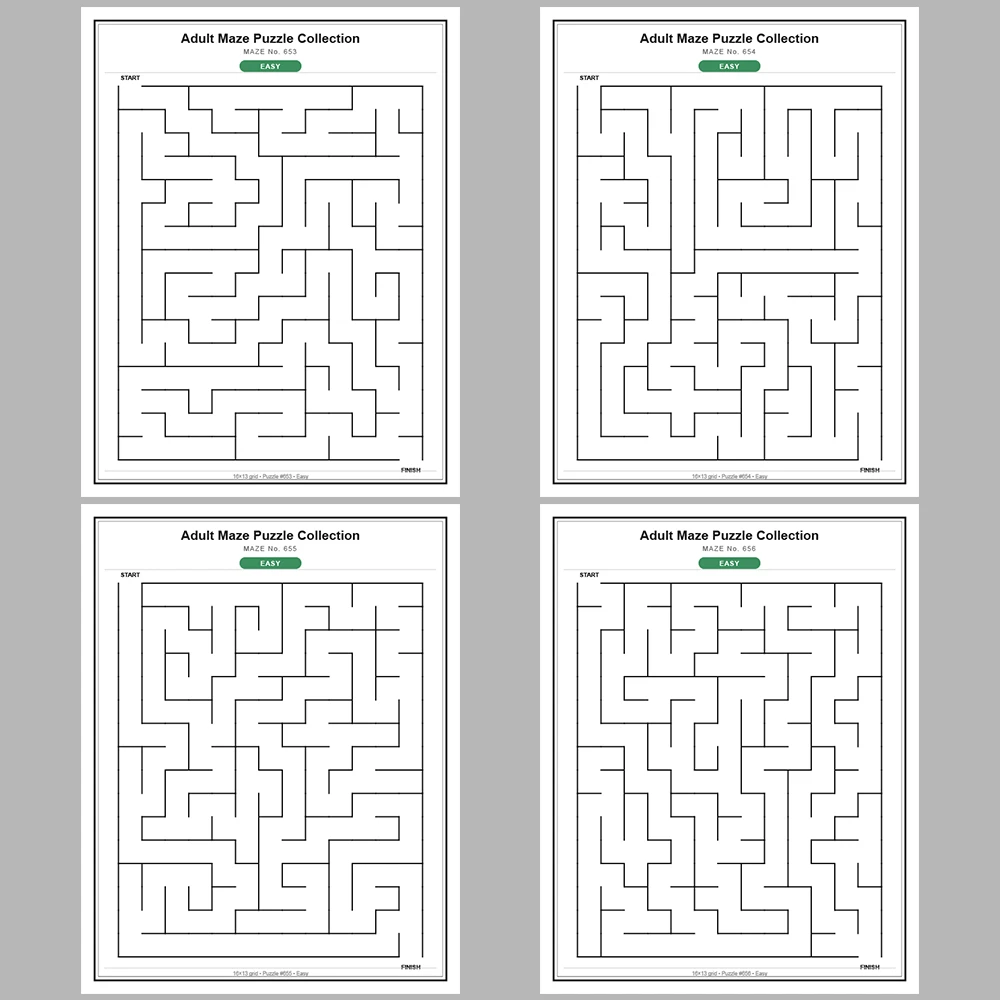 Maze Puzzle Easy 50 Pages of Puzzles – Vol. 14