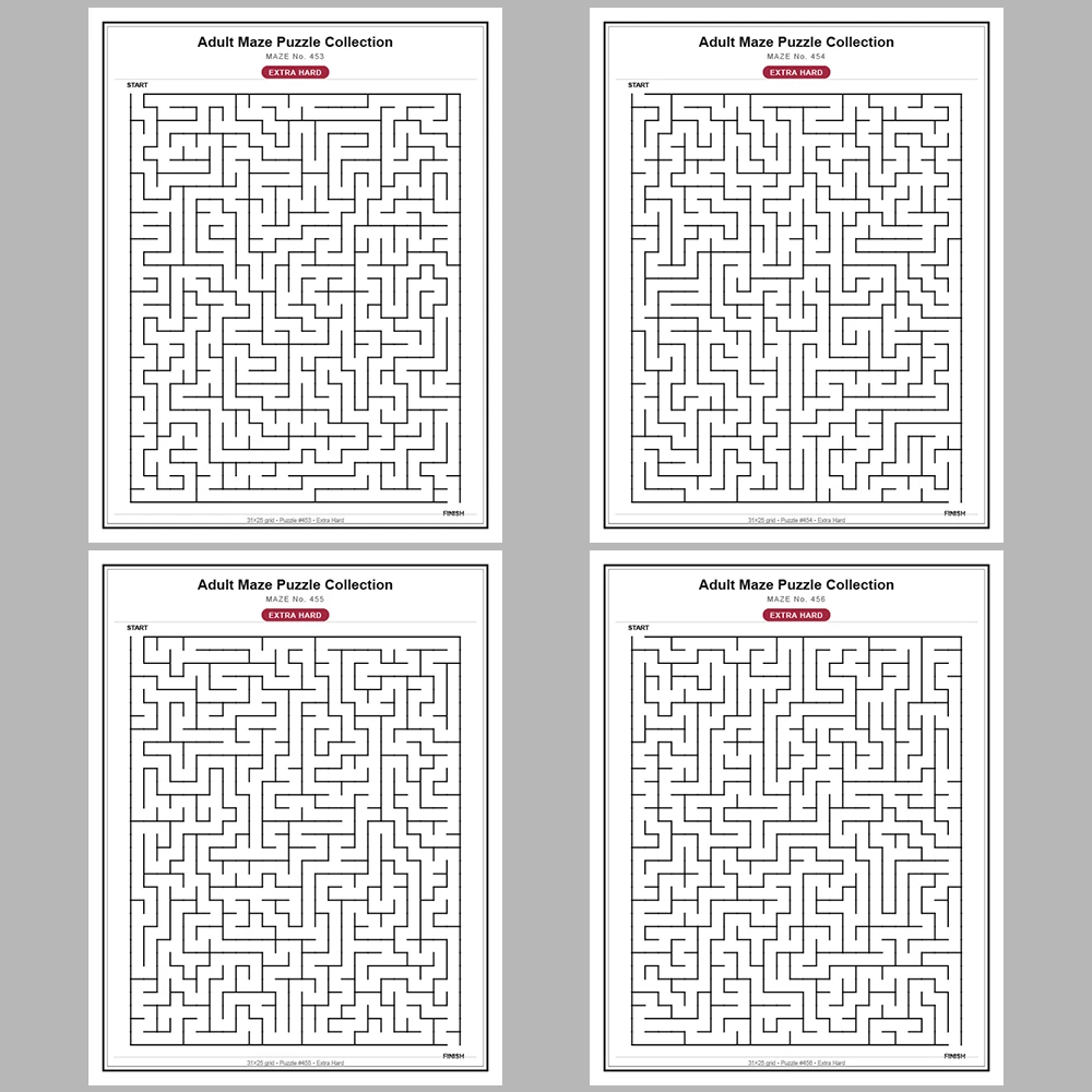 Maze Puzzle Extra Hard 50 Pages of Puzzles – Vol. 10