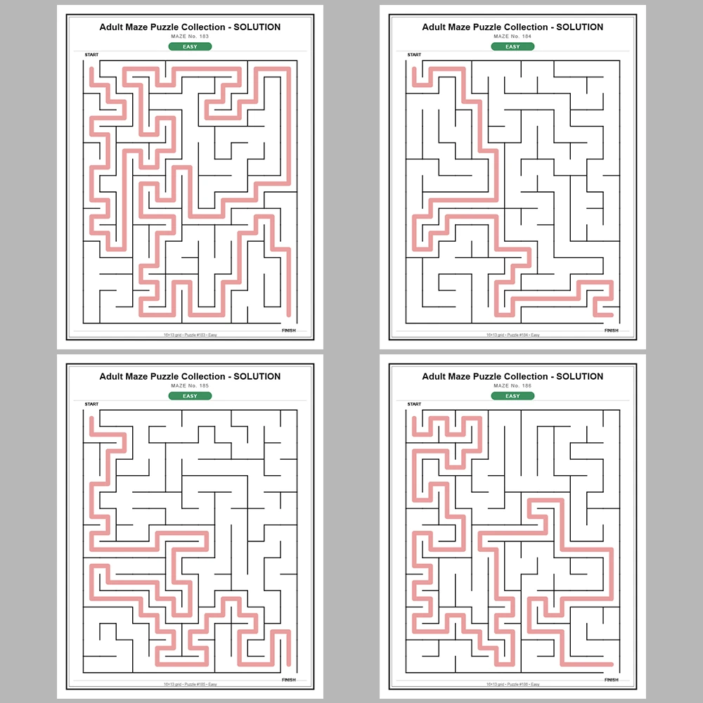 Maze Puzzle Easy 50 Pages of Puzzles – Vol. 4