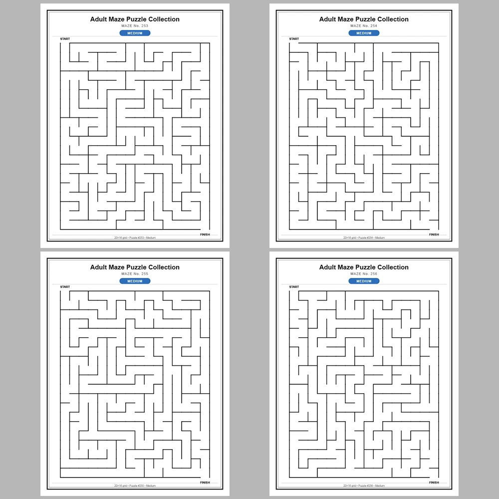 Maze Puzzle Medium 50 Pages of Puzzles – Vol. 6