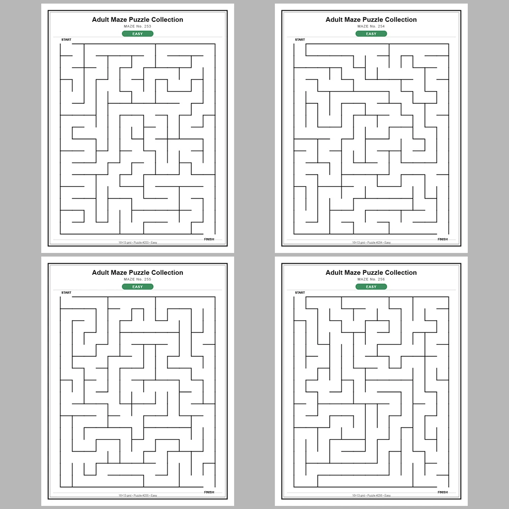 Maze Puzzle Easy 50 Pages of Puzzles – Vol. 6