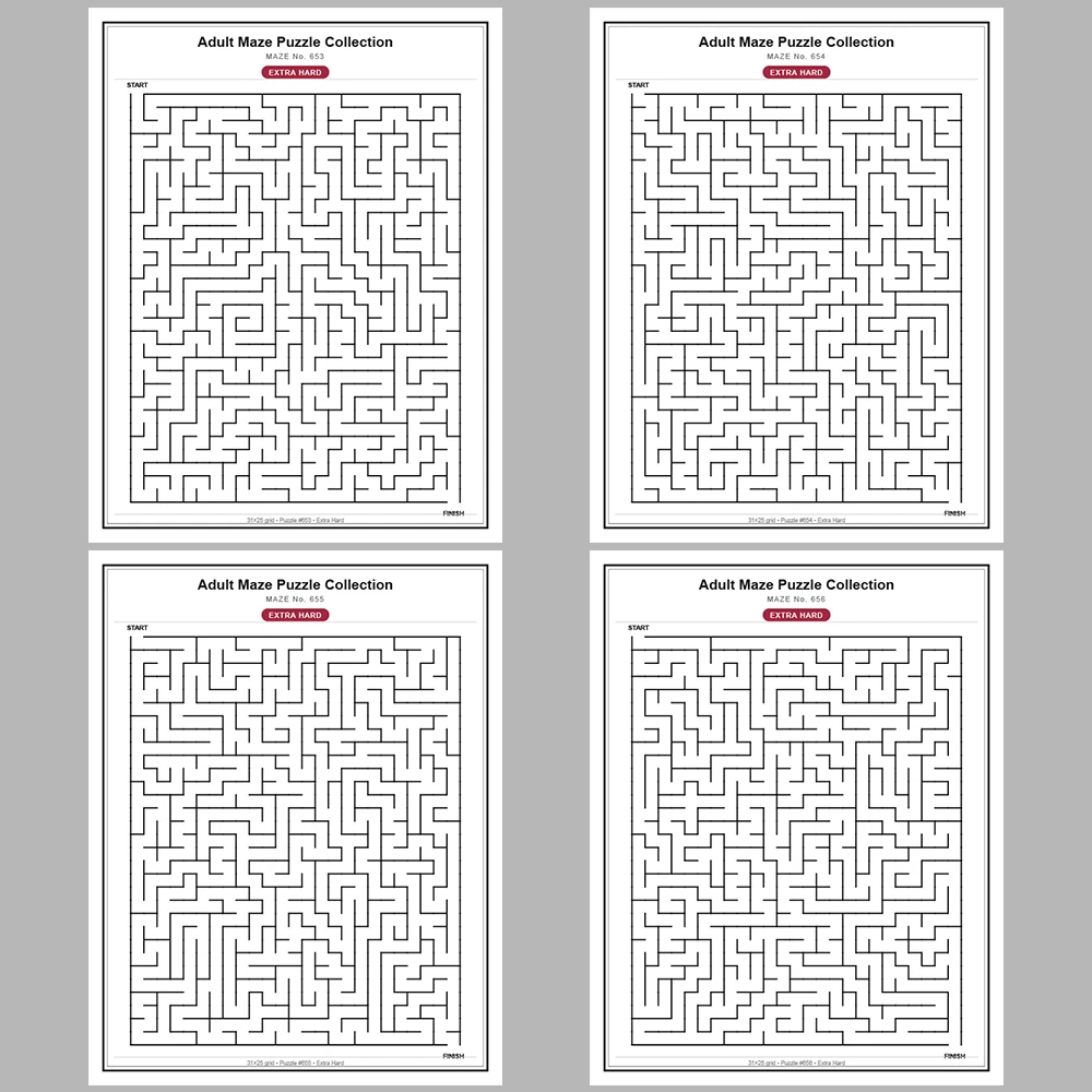 Maze Puzzle Extra Hard 50 Pages of Puzzles – Vol. 14