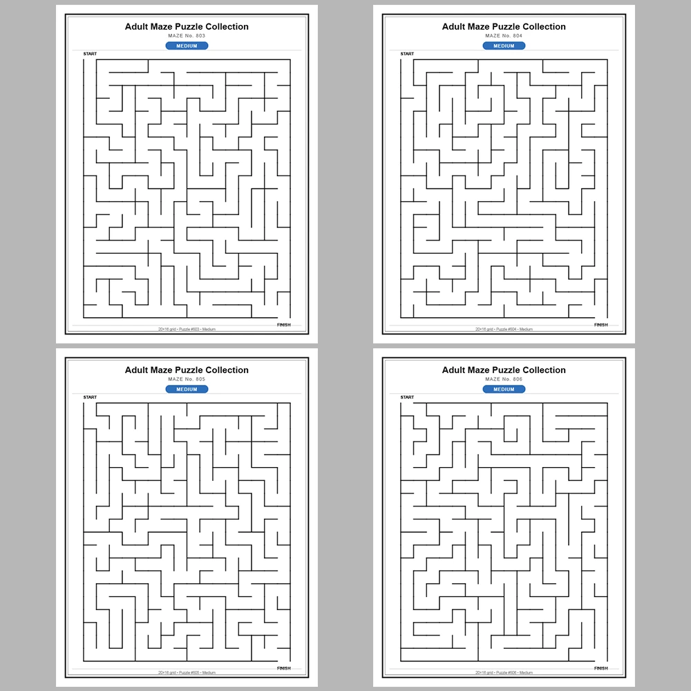 Maze Puzzle Medium 50 Pages of Puzzles – Vol. 17