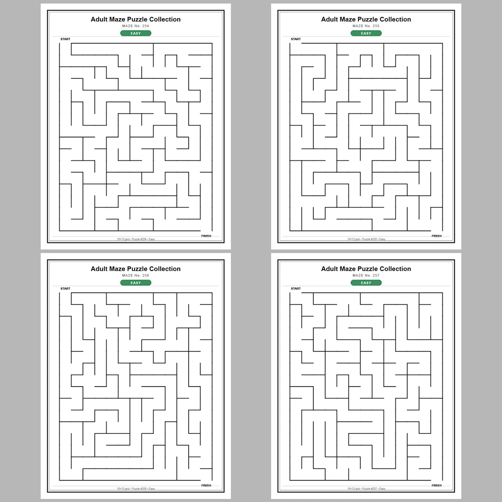 Maze Puzzle Easy 250 Pages of Puzzles – Vol. 2