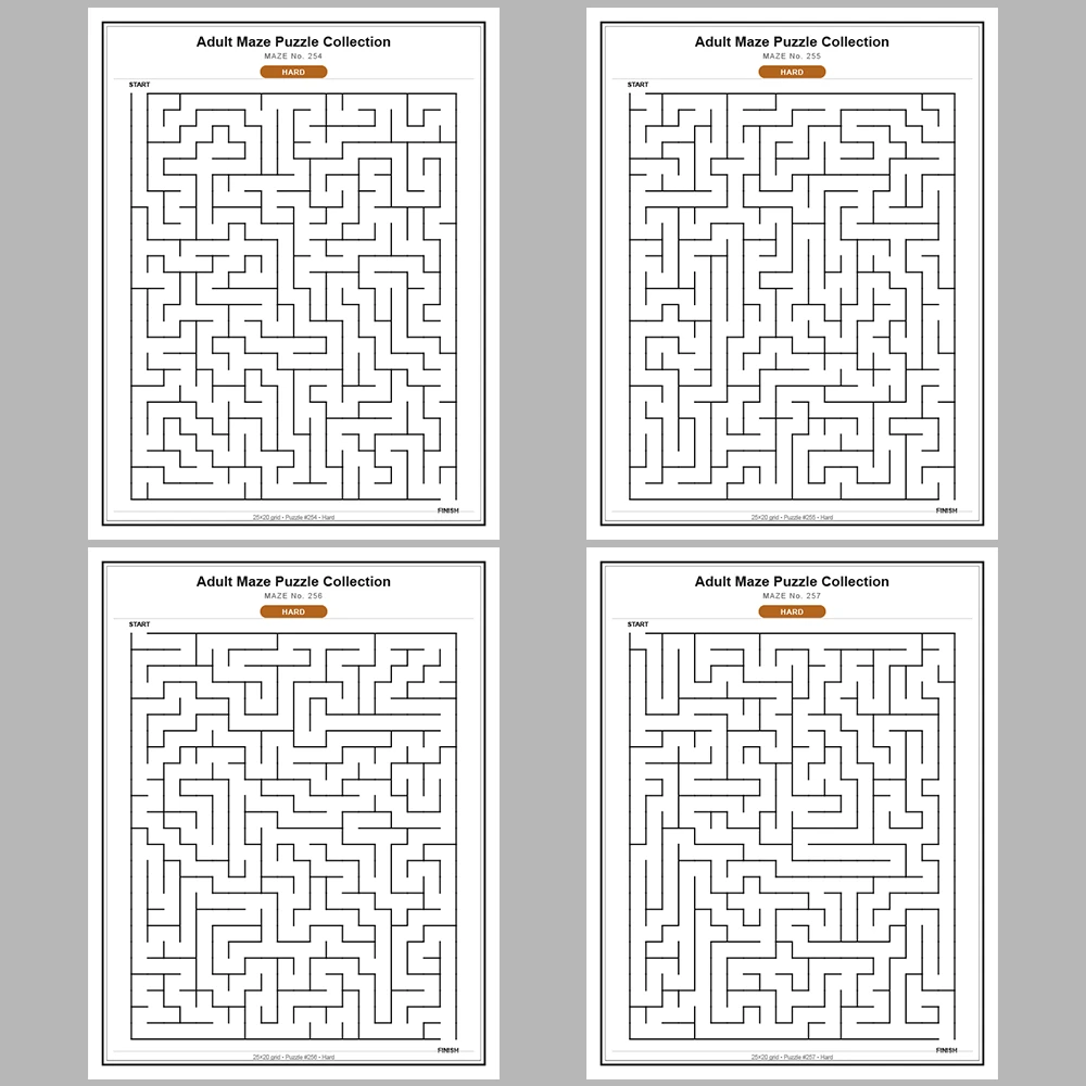 Maze Puzzle Hard 250 Pages of Puzzles – Vol. 2