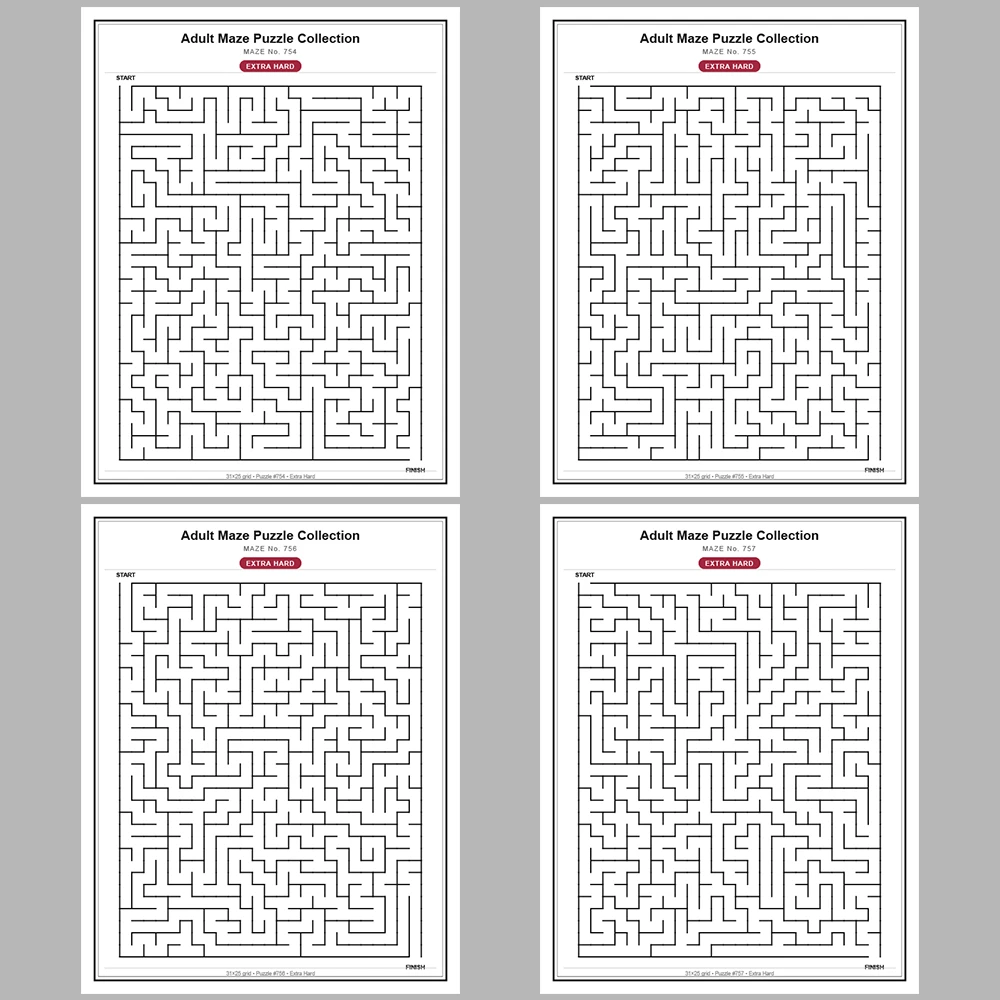 Maze Puzzle Extra Hard 250 Pages of Puzzles – Vol. 4