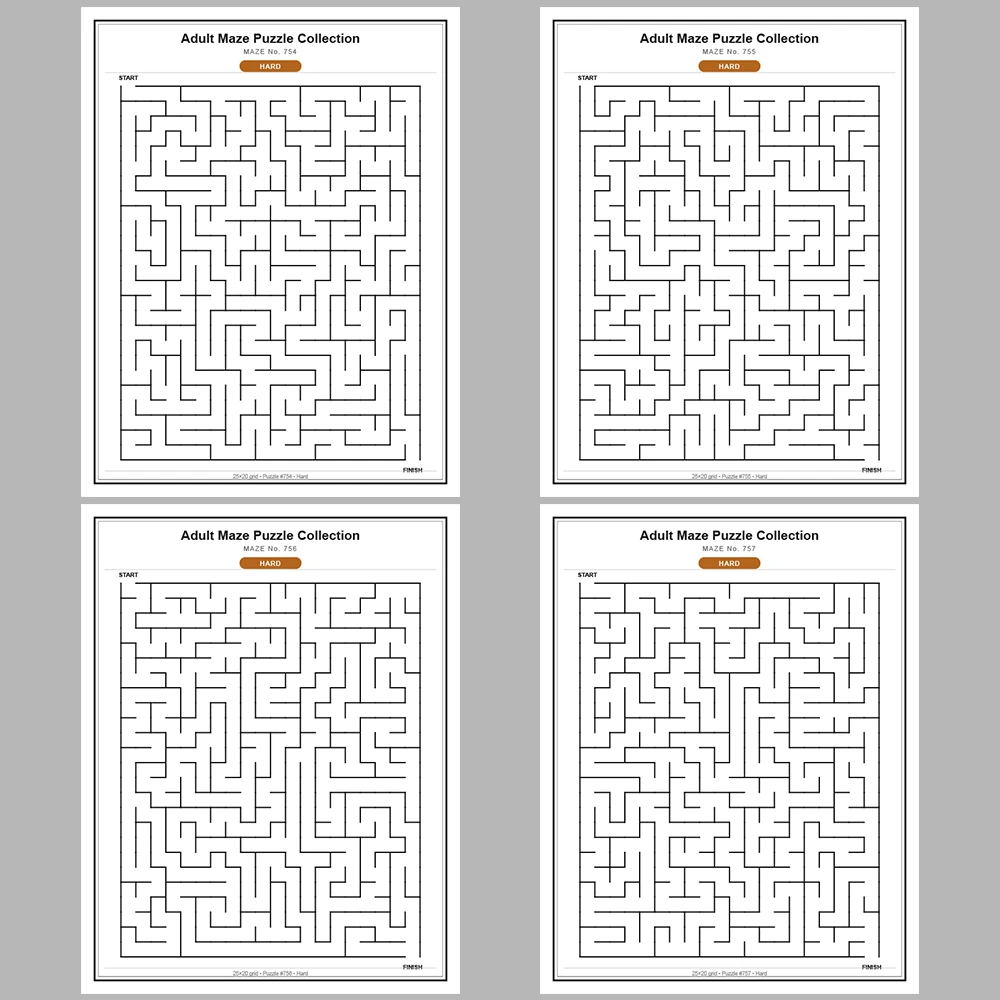 Maze Puzzle Hard 250 Pages of Puzzles – Vol. 4