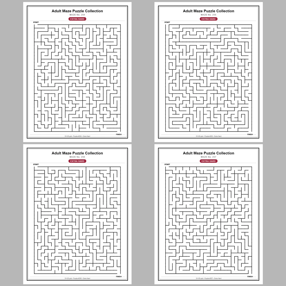 Maze Puzzle Extra Hard 250 Pages of Puzzles – Vol. 2