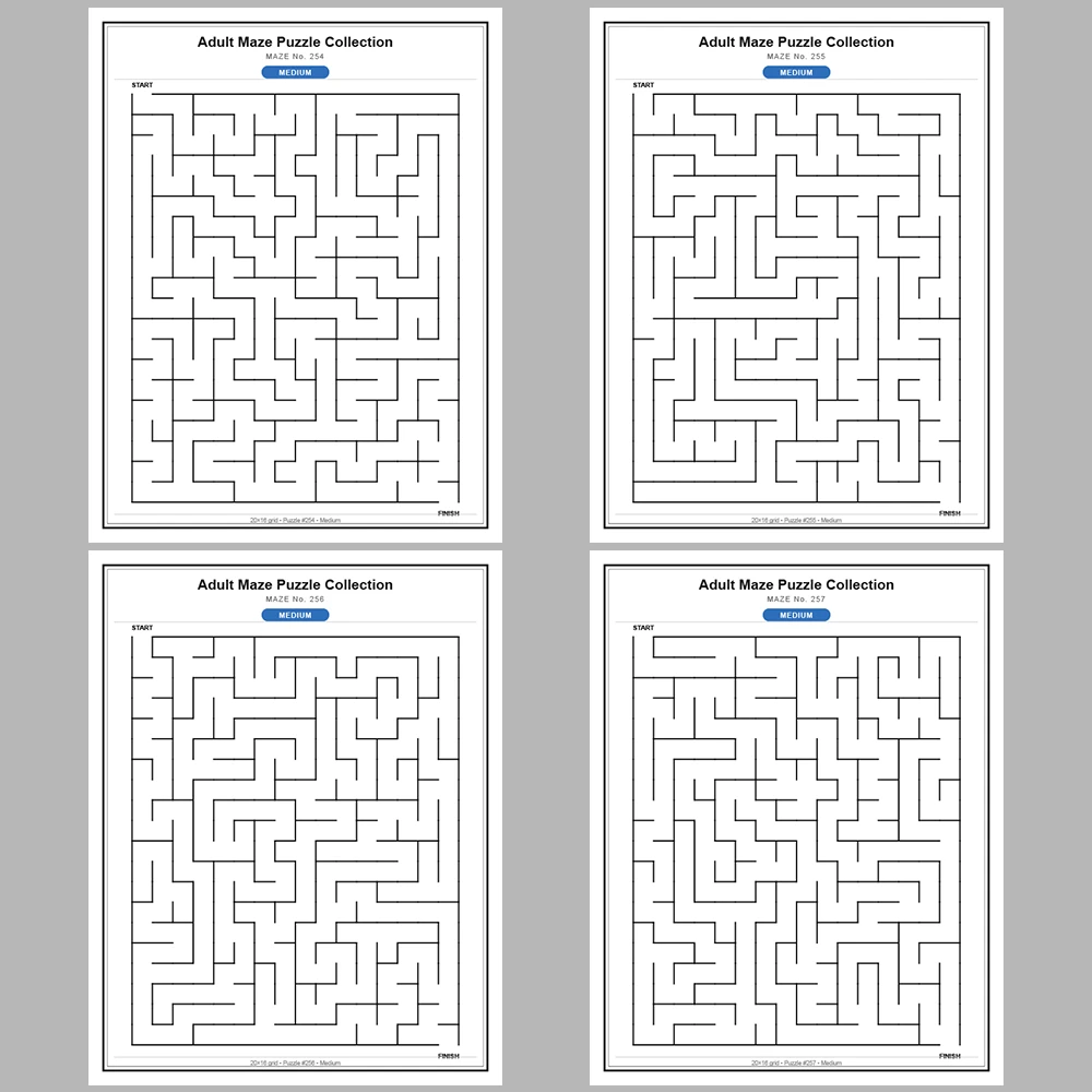 Maze Puzzle Medium 250 Pages of Puzzles – Vol. 2