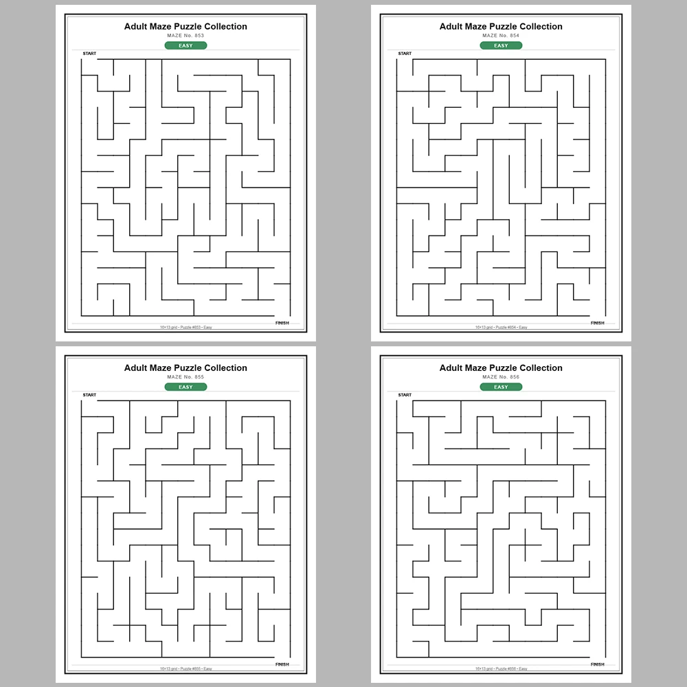 Maze Puzzle Easy 50 Pages of Puzzles – Vol. 18