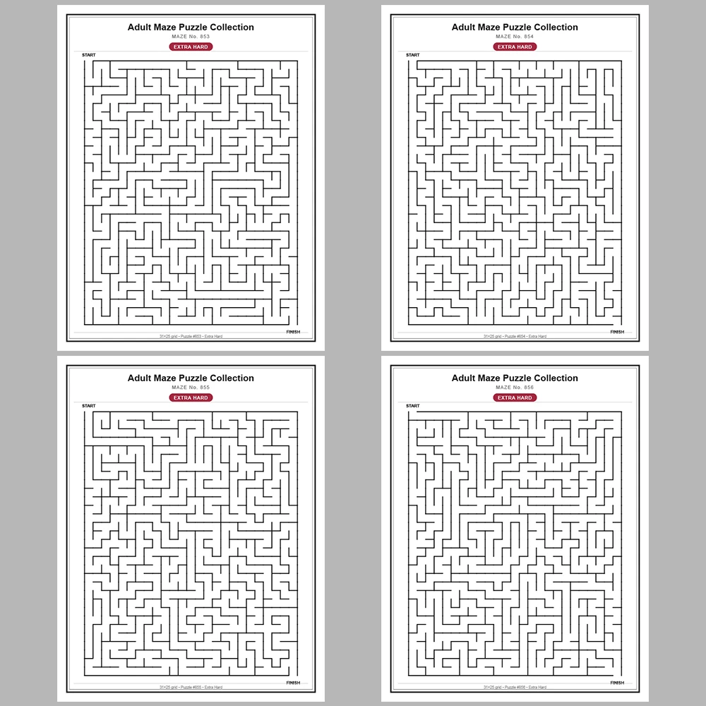 Maze Puzzle Extra Hard 50 Pages of Puzzles – Vol. 18