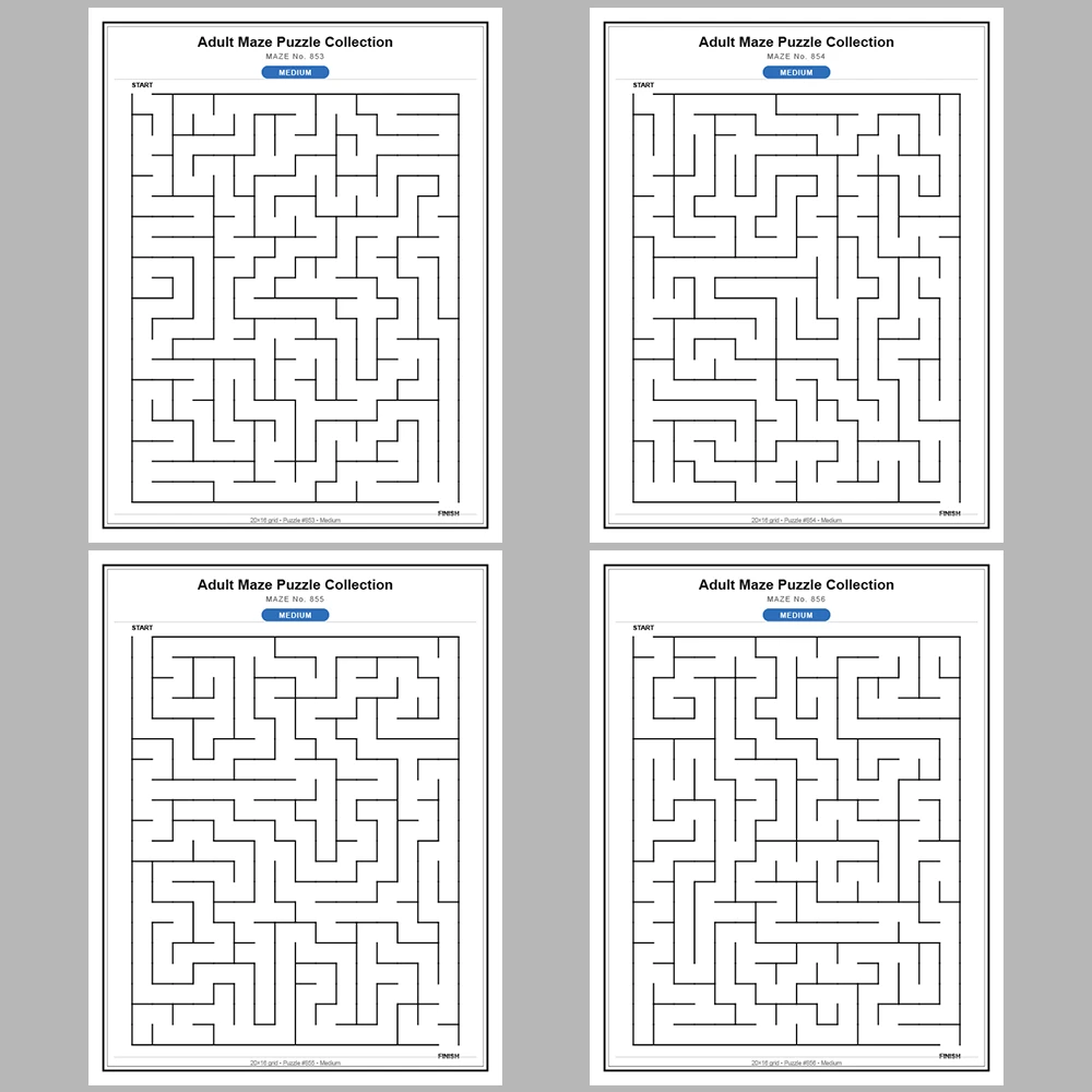 Maze Puzzle Medium 50 Pages of Puzzles – Vol. 18