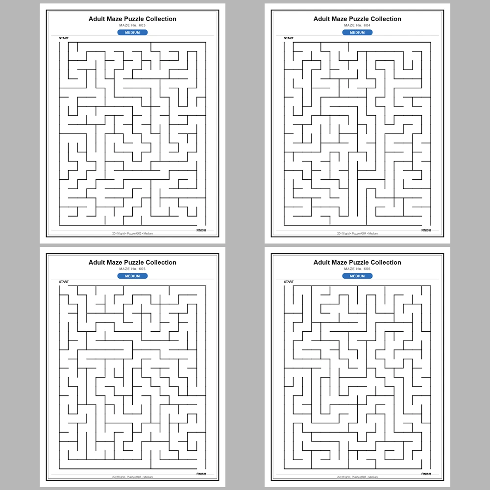 Maze Puzzle Medium 50 Pages of Puzzles – Vol. 13