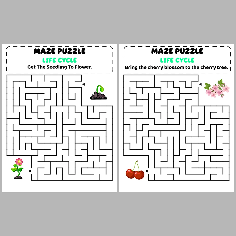 Life Cycle Kids Maze Puzzle 10 Pages of Puzzles