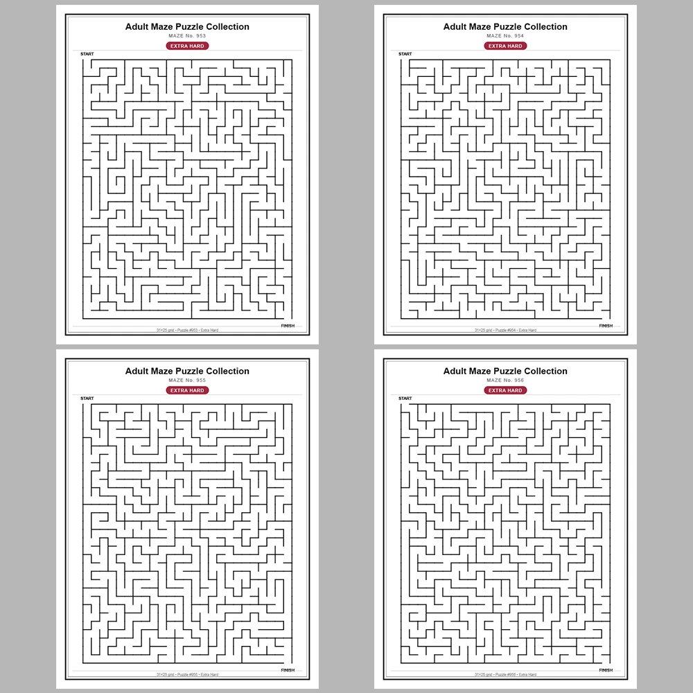 Maze Puzzle Extra Hard 50 Pages of Puzzles – Vol. 20
