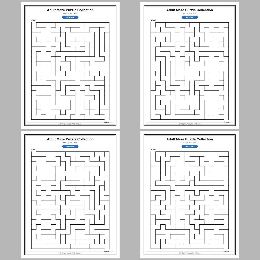 Maze Puzzle Medium 50 Pages of Puzzles – Vol. 20