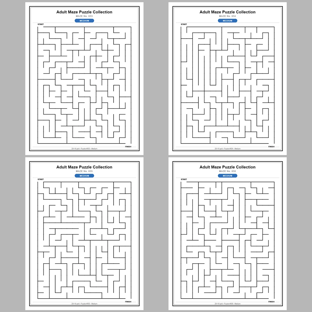 Maze Puzzle Medium 50 Pages of Puzzles – Vol. 14