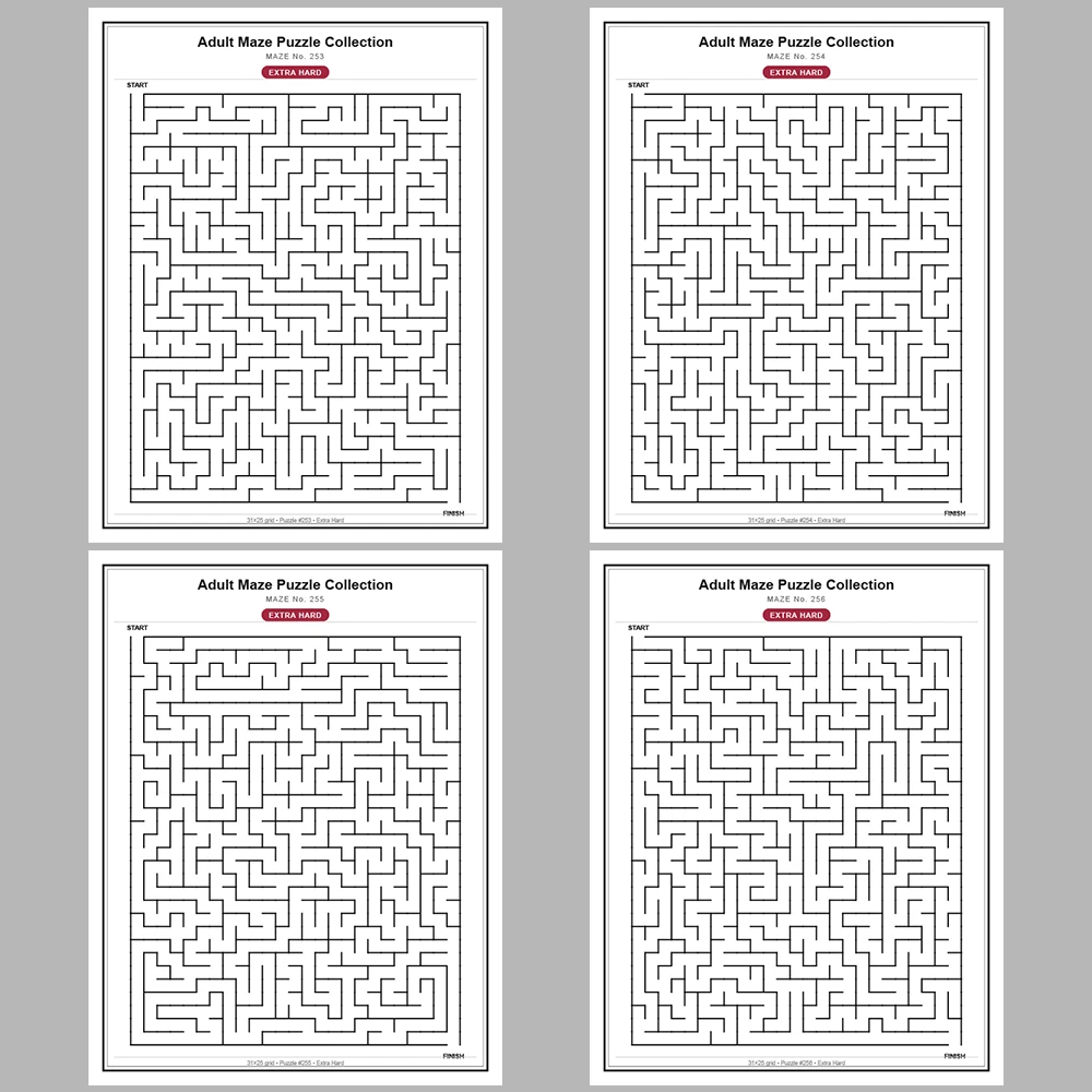 Maze Puzzle Extra Hard 50 Pages of Puzzles – Vol. 6