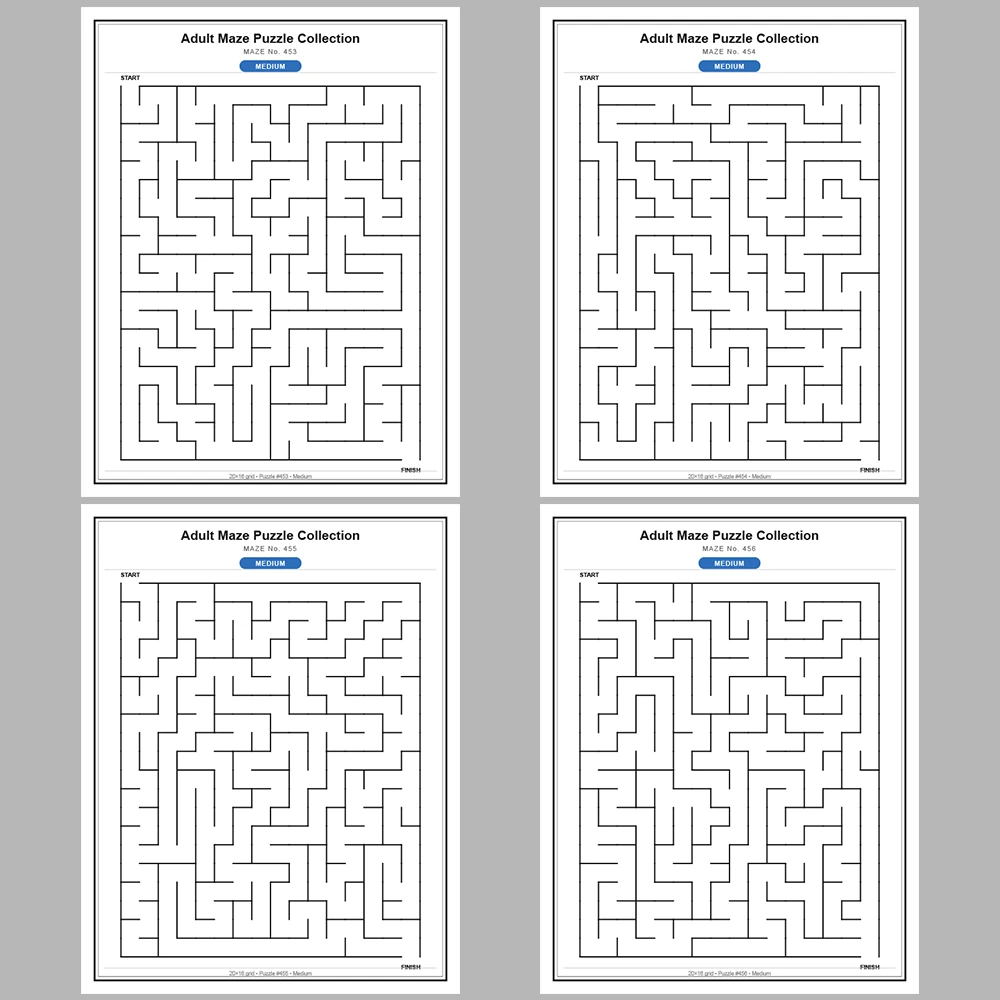 Maze Puzzle Medium 50 Pages of Puzzles – Vol. 10