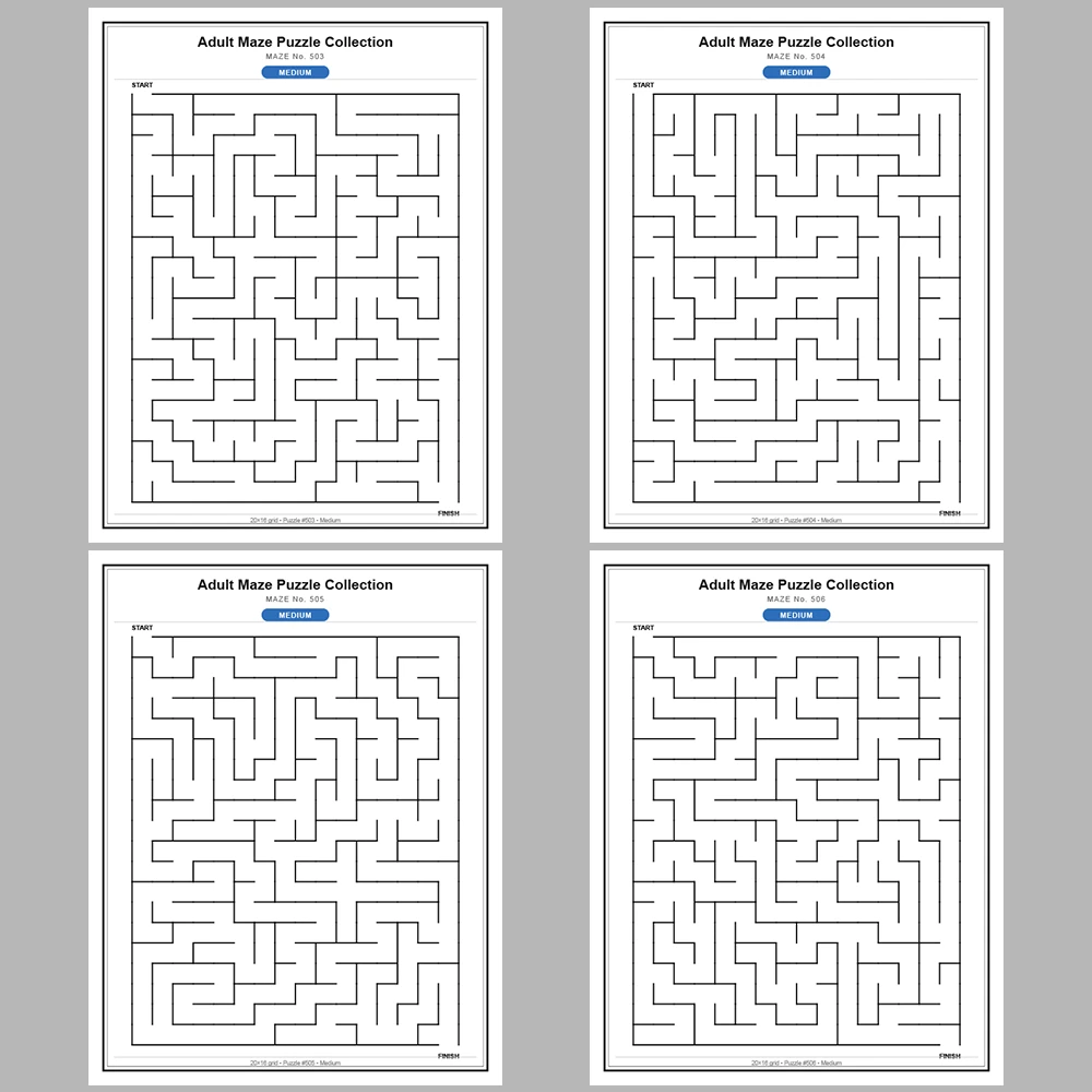 Maze Puzzle Medium 50 Pages of Puzzles – Vol. 11