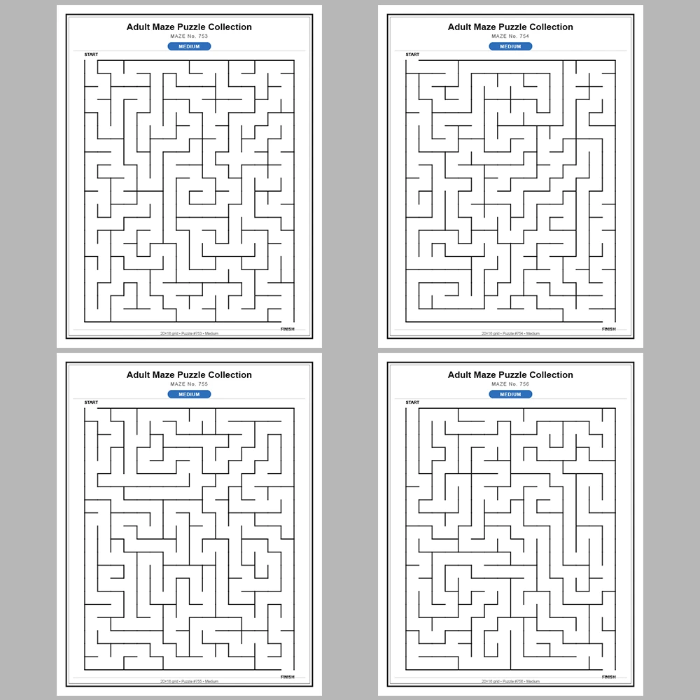 Maze Puzzle Medium 50 Pages of Puzzles – Vol. 16