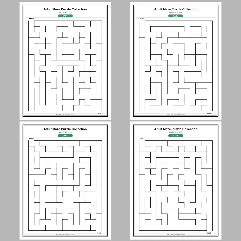 Maze Puzzle Easy 50 Pages of Puzzles – Vol. 16