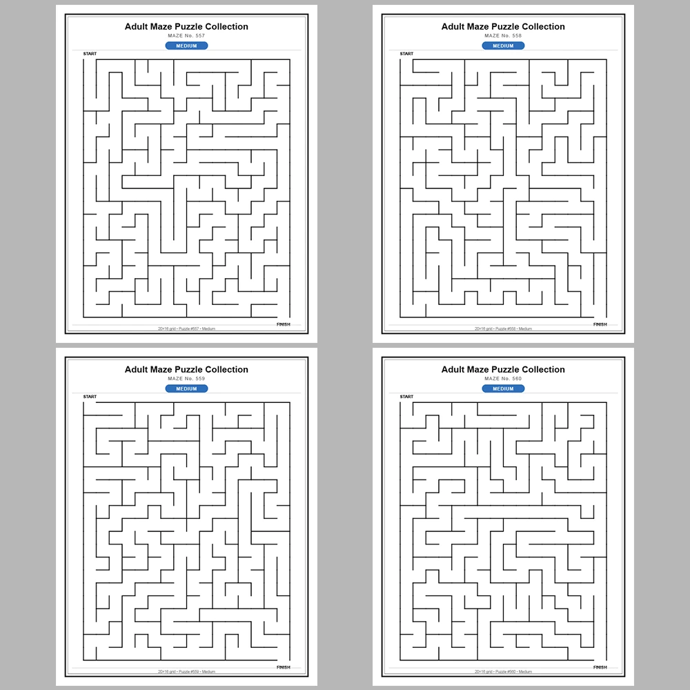 Maze Puzzle Medium 50 Pages of Puzzles – Vol. 12