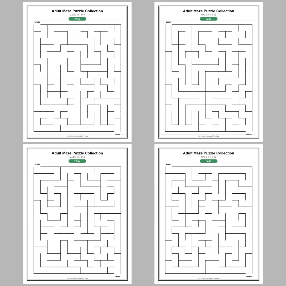 Maze Puzzle Easy 50 Pages of Puzzles – Vol. 12