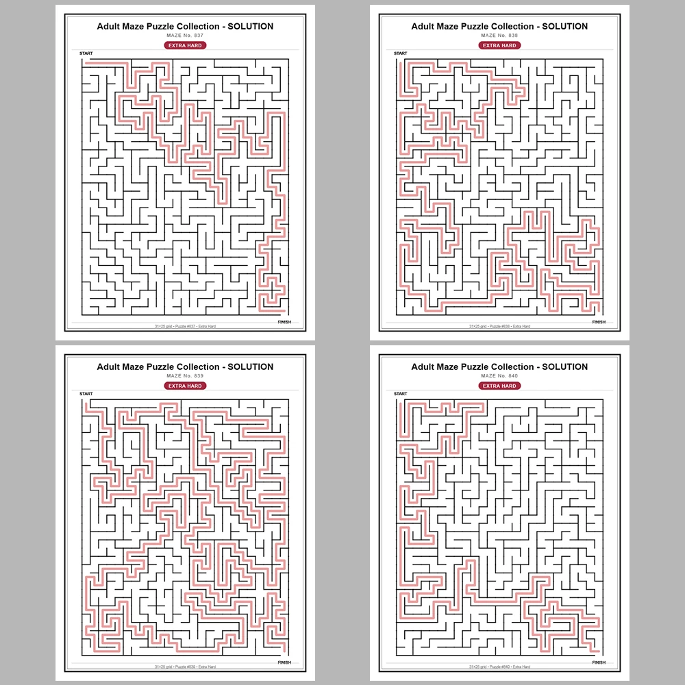 Maze Puzzle Extra Hard 50 Pages of Puzzles – Vol. 17