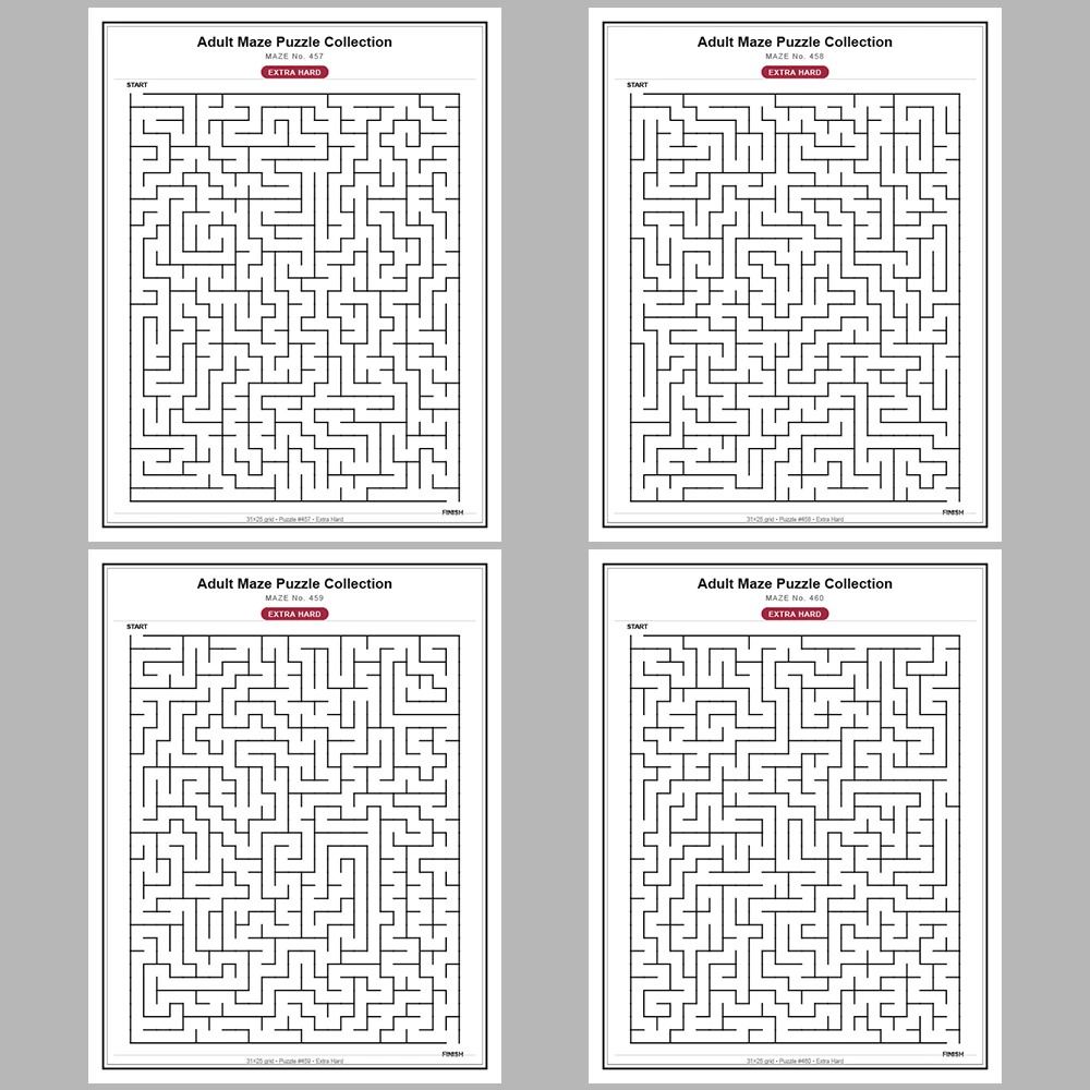 Maze Puzzle Extra Hard 50 Pages of Puzzles – Vol. 10