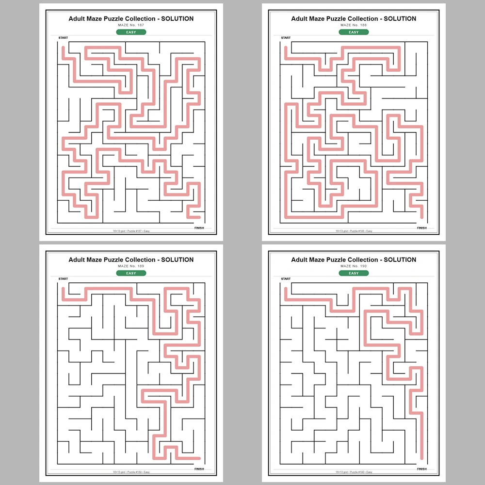 Maze Puzzle Easy 50 Pages of Puzzles – Vol. 4