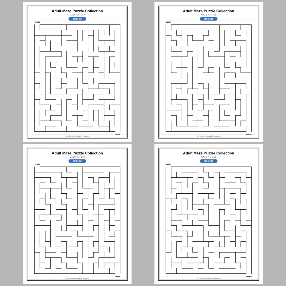 Maze Puzzle Medium 50 Pages of Puzzles – Vol. 6