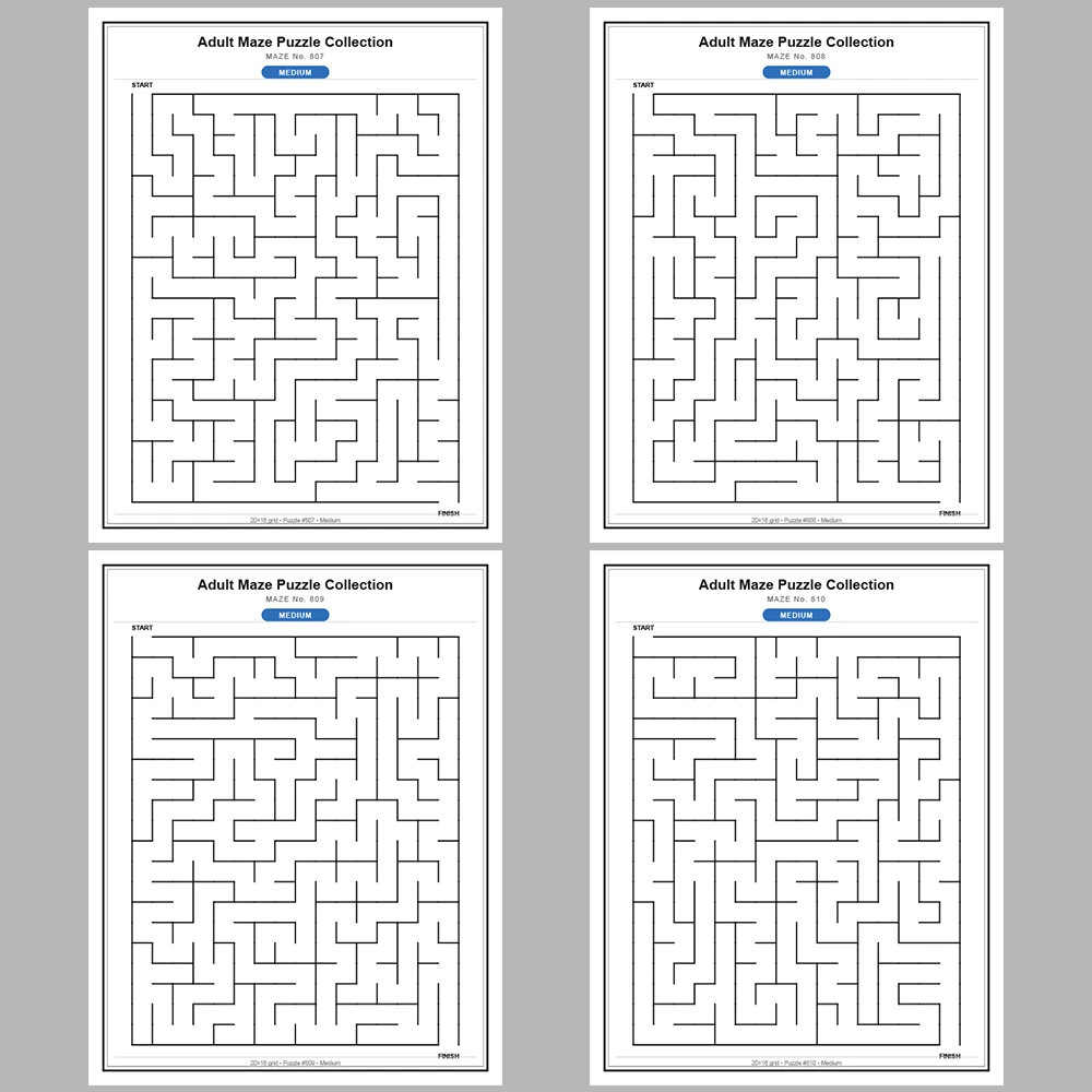 Maze Puzzle Medium 50 Pages of Puzzles – Vol. 17