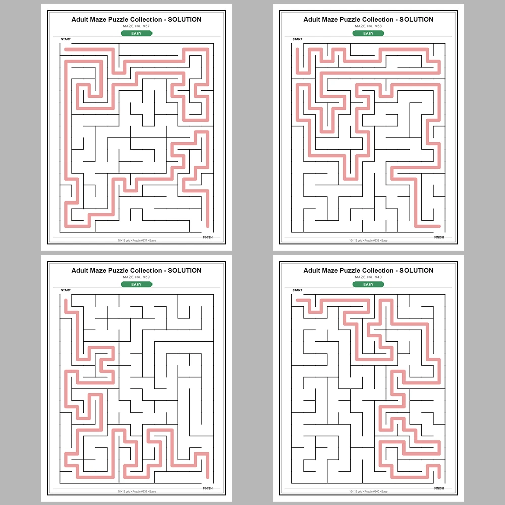 Maze Puzzle Easy 50 Pages of Puzzles – Vol. 19