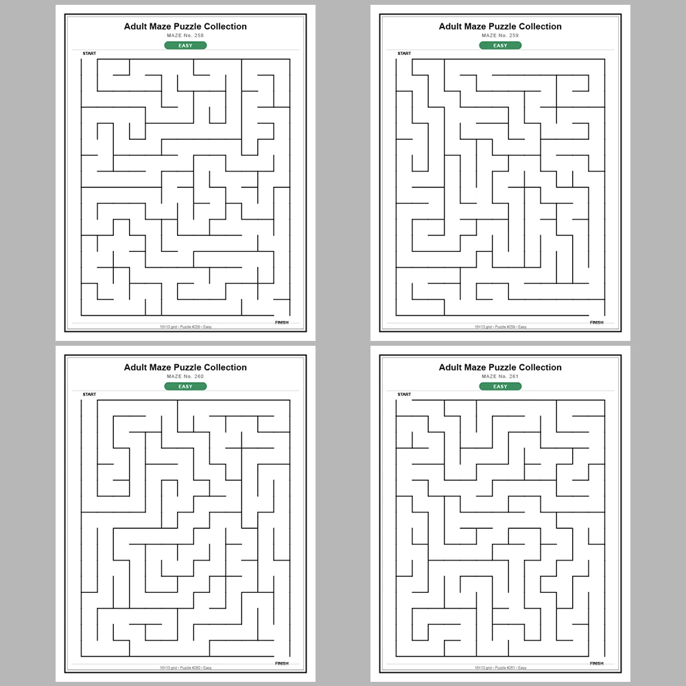 Maze Puzzle Easy 250 Pages of Puzzles – Vol. 2