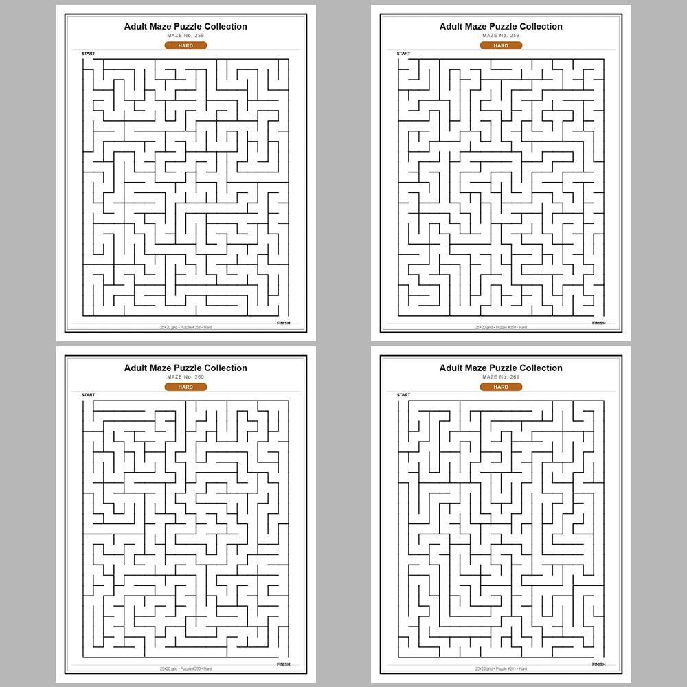Maze Puzzle Hard 250 Pages of Puzzles – Vol. 2