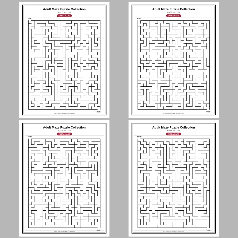 Maze Puzzle Extra Hard 250 Pages of Puzzles – Vol. 4