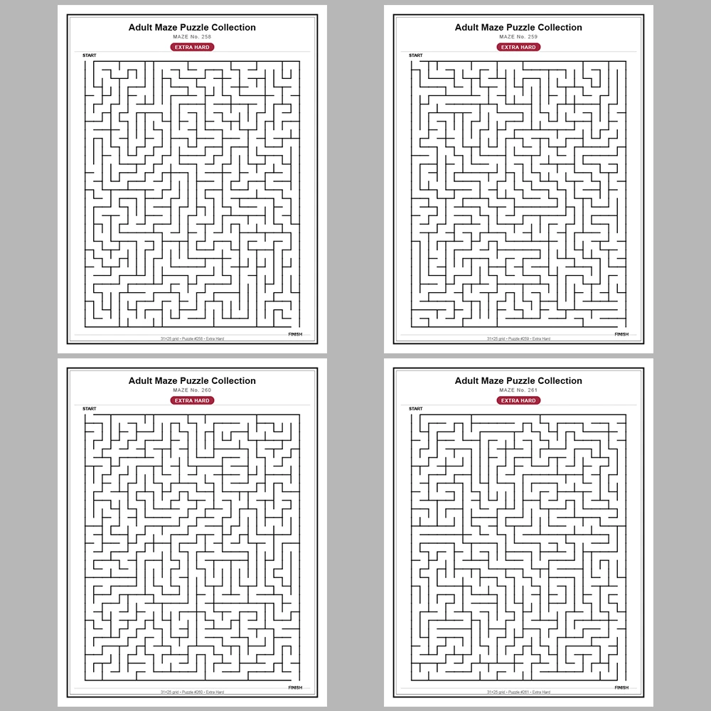 Maze Puzzle Extra Hard 250 Pages of Puzzles – Vol. 2