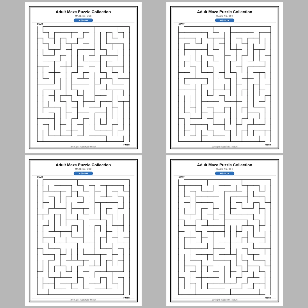 Maze Puzzle Medium 250 Pages of Puzzles – Vol. 2