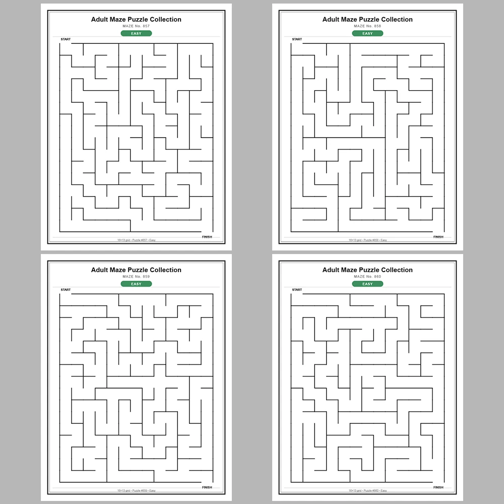 Maze Puzzle Easy 50 Pages of Puzzles – Vol. 18