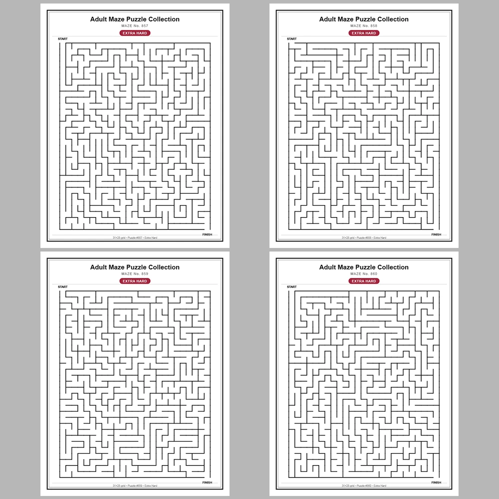 Maze Puzzle Extra Hard 50 Pages of Puzzles – Vol. 18