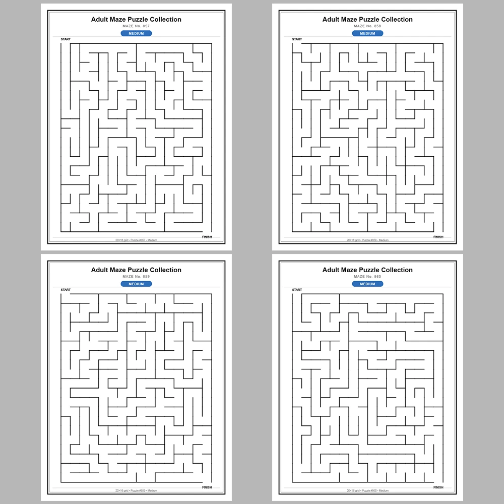 Maze Puzzle Medium 50 Pages of Puzzles – Vol. 18