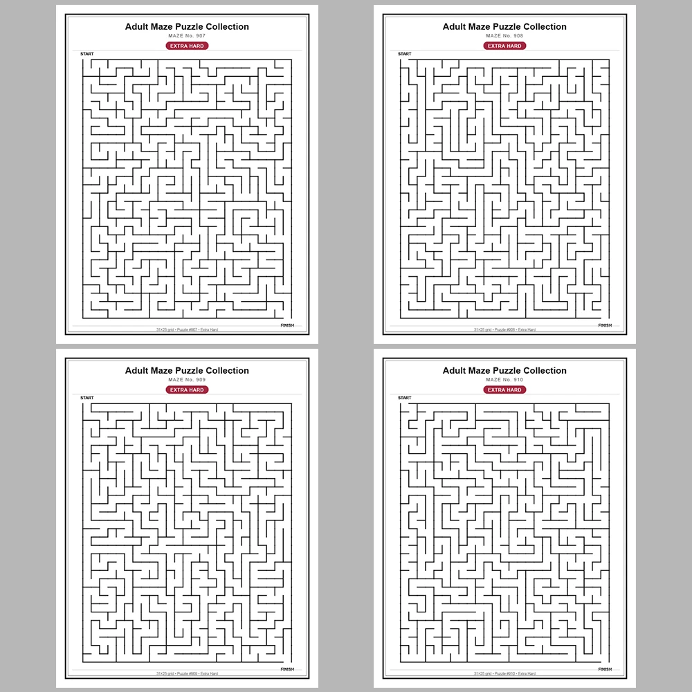 Maze Puzzle Extra Hard 50 Pages of Puzzles – Vol. 19