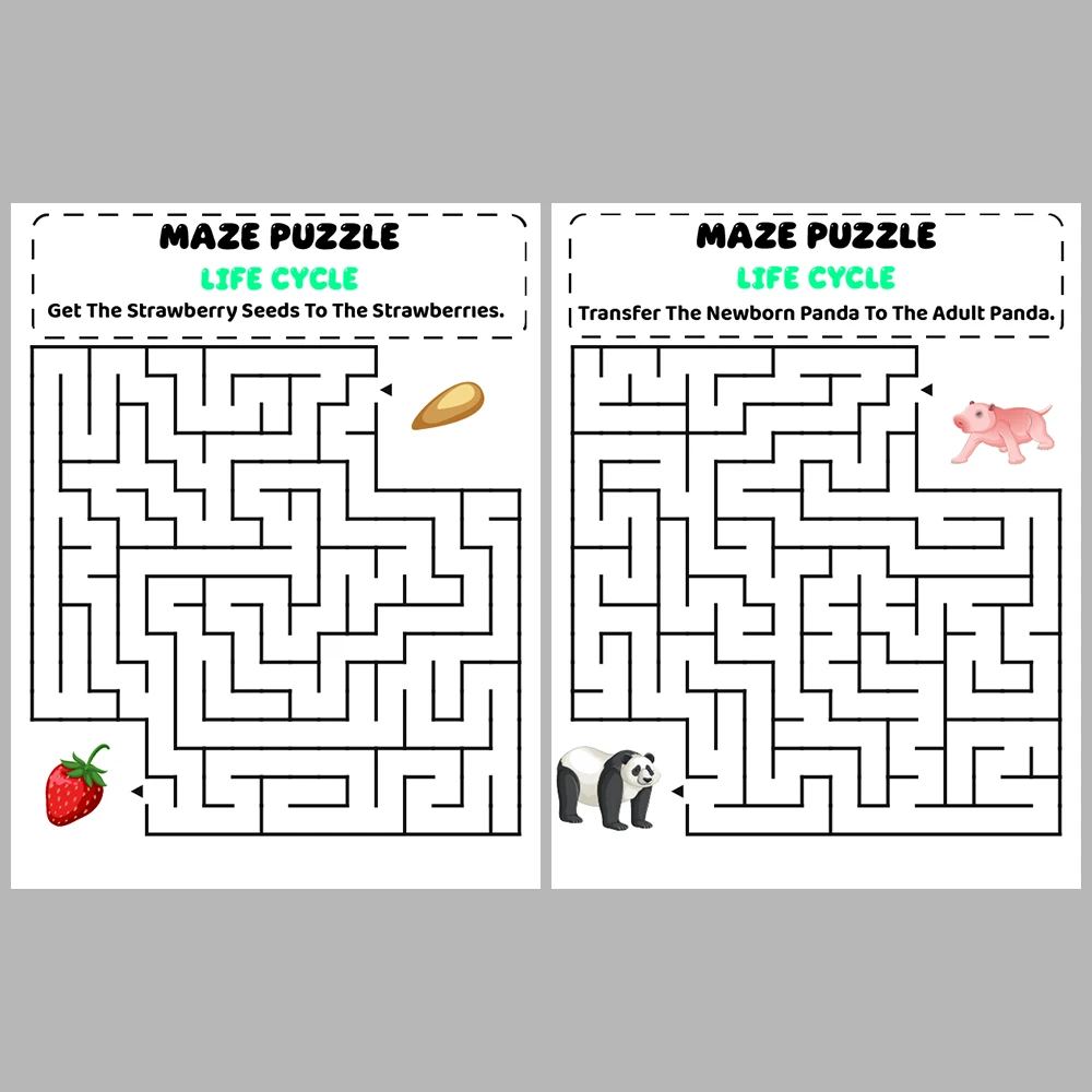 Life Cycle Kids Maze Puzzle 10 Pages of Puzzles