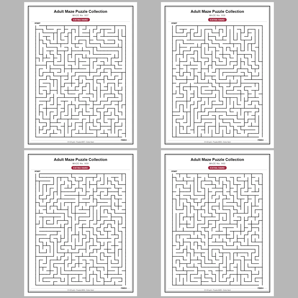 Maze Puzzle Extra Hard 50 Pages of Puzzles – Vol. 20