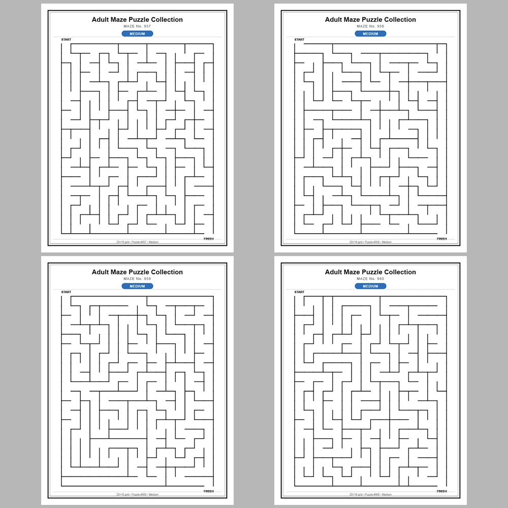Maze Puzzle Medium 50 Pages of Puzzles – Vol. 20