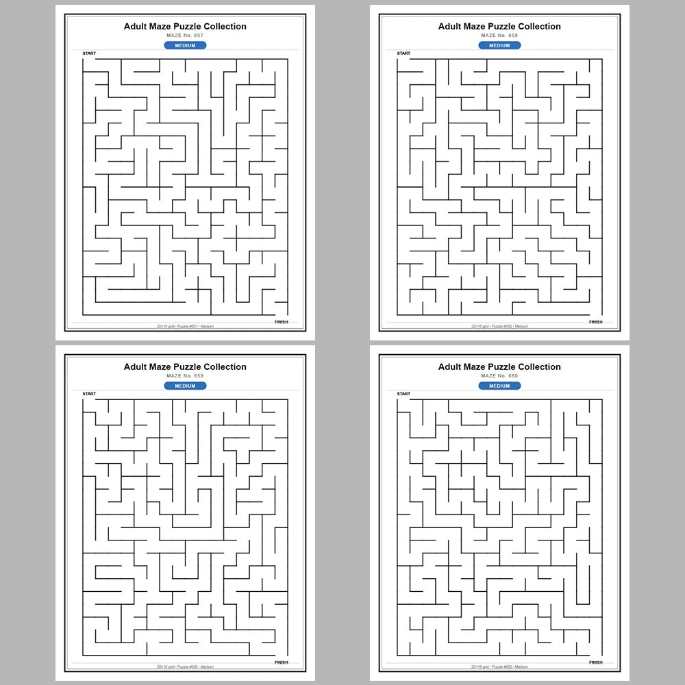 Maze Puzzle Medium 50 Pages of Puzzles – Vol. 14