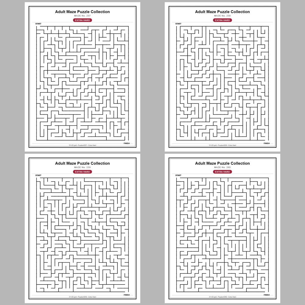 Maze Puzzle Extra Hard 50 Pages of Puzzles – Vol. 6